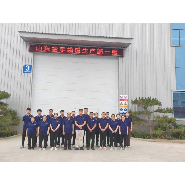35mm Aluminum 2 Core Power Cable underground For Industrial Construction