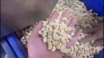 304 Stainless Steel Automatic Cashew Sorting Machine with AI Detection and