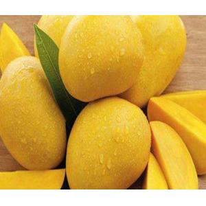 Fresh Mango Pulp Juice Paste Beverage Making Machine