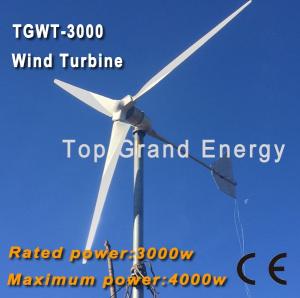 China TGWT-3K 3000W 96V/120V/220V wind turbine Three phase permanent magnet AC synchronous generator wholesale