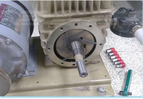 KVT/DVT2.140/3.140 Vacuum Pump Carbon Blades Made of Wear-Resistant Graphite Material