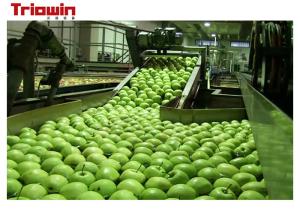 China Custom Fruit And Vegetable Processing Line Pear Fruit Juice Processing Machines 220/380V on sale