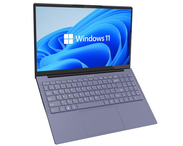 Quality I9 11900H Processor 15.6 Inch Laptop Computer 16GB 512GB With RJ45 WIFI Backlit Keyboard for sale
