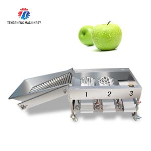 China 150KG 380V Lemon screening and grading machine stainless steel fruit sorting machine citrus fruit sorting machine wholesale