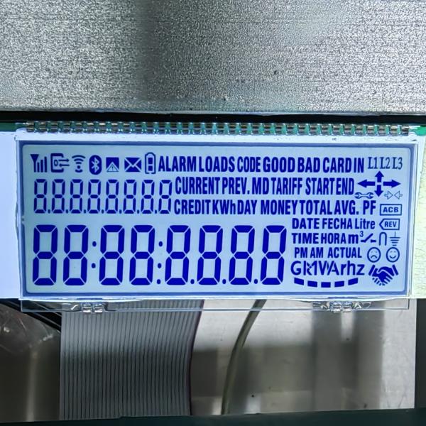 OEM Monochrome Segment LCD Display, 240x160 FSTN Positive Custom Character LCD
