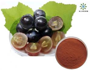 China OPC 95% Proanthocyanidins Grape Seed Herb Extract Powder Boost Immune System And Reduce Inflammation wholesale