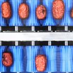 MD Conformity Dates Sorting Machine Powered By 380V With 4 Ton Capacity
