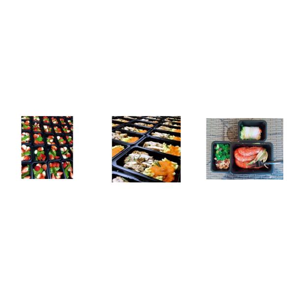 Food Grade Ready Meal Packaging Machine Modified Atmosphere Floor Type