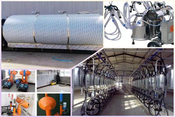 70 Litre Milk Canister Stainless Steel Sufficient Materials And Not Rust Drum Pails Barrels