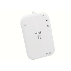 Auto Induction Tour Guide Audio System 8 Languages Optional