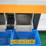 Unrivaled Accuracy Achieves Perfection In Date Sorting Grading Machine With High