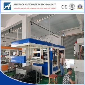Automatic  Plastic Thermoforming Machine Servo Motor Control For Chocolate Container