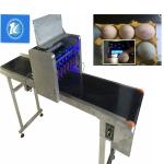 Free Upgrade Egg Jet Batch Coding Machine Can Print All The Words And Fonts
