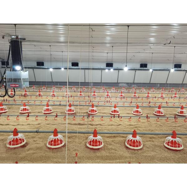 Prefabricated Light Structural Steel Structure Construction With Low Cost