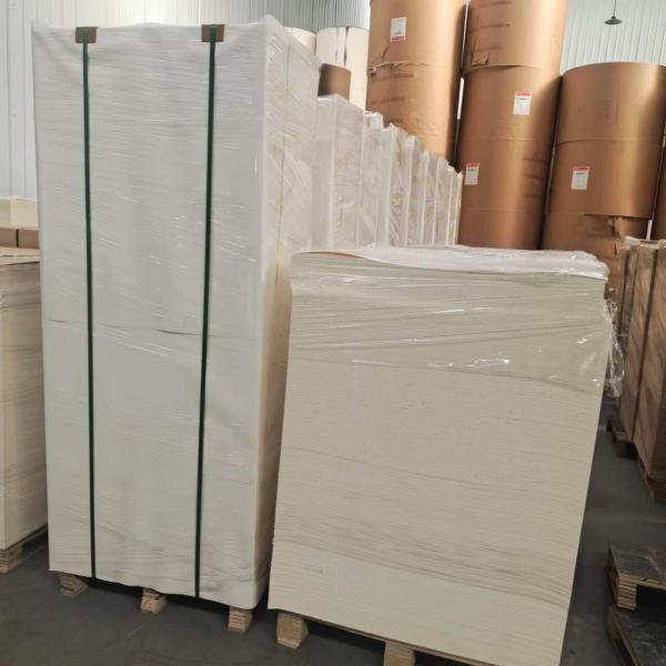 Raw Materials Single Double Sided Offset Paper PE Coated Paper Sheet for Disposable Paper Cup Container Printing
