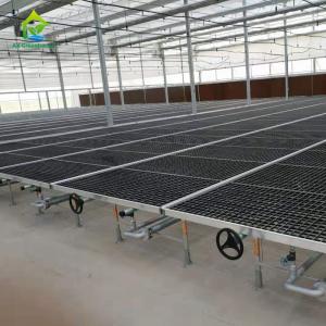 China HDG Steel Frame Greenhouse Plant Tables 50*100mm Mesh Nursery Potting Benches wholesale