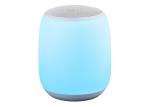 Smart Touch LED Bluetooth Speaker , Mini Usb Bluetooth Speaker For Mobile Phone