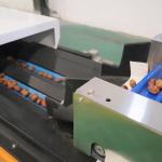Future Proofing Production Date Sorting Machine High Capcity with 98% Accuracy