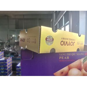 Fully Automatic Multifunctional Fruit Box Folding Machine