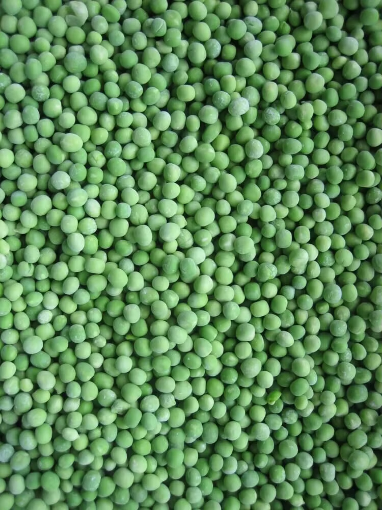 Wholesale IQF Green Peas Bulk 10kg Frozen Vegetables