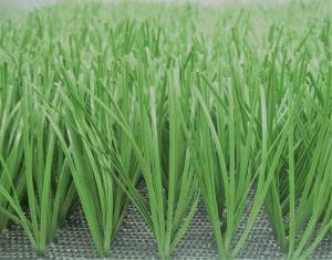 China Lemon Grass Football Artificial Grass Baseball 50mm Artificial Cricket Pitch Carpet on sale