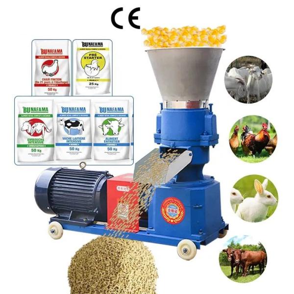 Quality Automatic Control Feed Grinding Machine 12mm Pellet Making Machine for sale