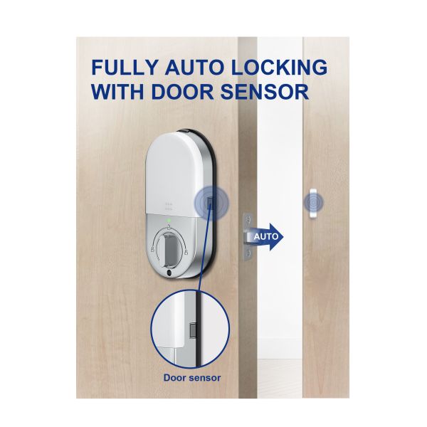 Electronic Digital Deadbolt Smart Lock APP Management System