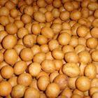 Small type Peanut coating machine, flour coated peanut machine