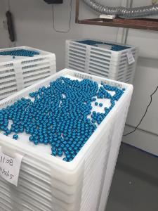 China Low Noise PLC Control Paintball Encapsulation Machine with Touch Screen wholesale