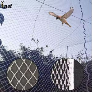 China Agricultural Bird Prevention Netting 5m - 1000m Knitted Bird Netting wholesale