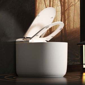 China CUPC Certificate Ceramic Auto Flush One Piece Intelligent Bidet Toilets Bathroom Wc Electric Smart Intelligent Toilet wholesale