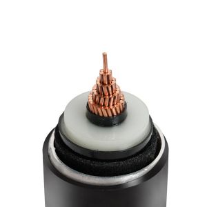 6/10 (12) Kv 50mm2 Single Core Copper/Aluminum XLPE Insulated Cable