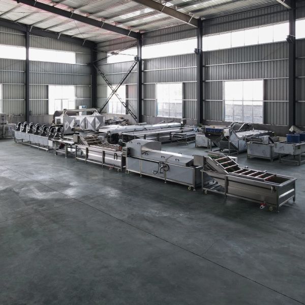 Factory Supply Vegetable Fruit Washing and Blanching Equipment