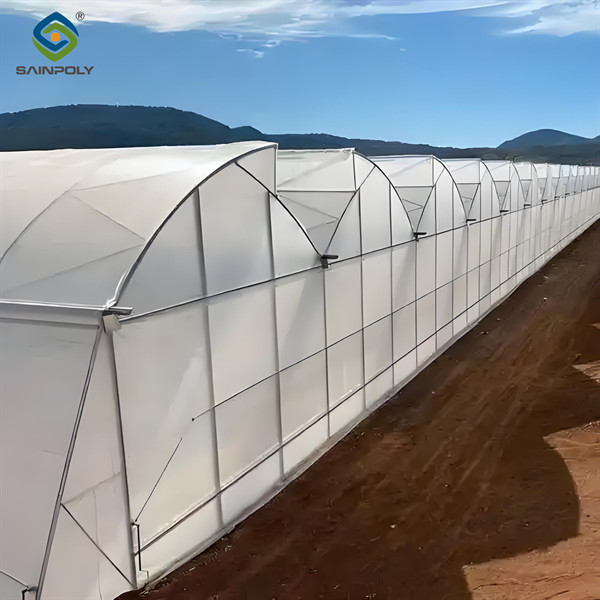 Simple Multi Span Commercial Gothic Type Greenhouse Wind Resistance