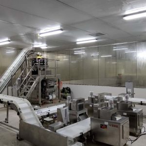 China ISO9001 Conveyor Belt Sorting System wholesale