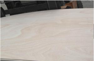 China Okoume plywood, birch plywod, pine plywood, bintangor plywood,keruing plywood, all kinds of commercial plywood wholesale