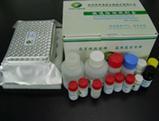 Swine disease Diagnostic Porcine Pseudorabies Virus (PRV) Antibody ELISA Assay Kit