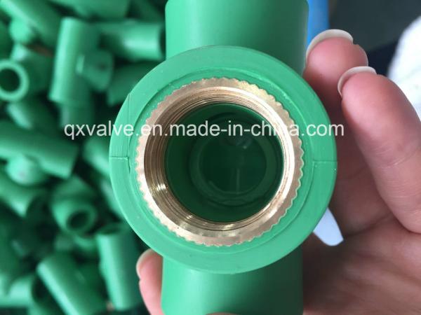 Quality Customized Request PPR Fittings and PPR Ball Valve Complete Size from 20mm to 160mm for sale