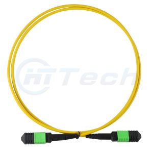 Buy cheap Singlemode MPO-MPO Patch Cable Low Insert Loss LSZH Jacket from wholesalers