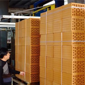 China Clay Bricks Robot Packing Automatic Brick Making Machine 40Kw wholesale