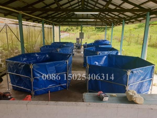 High quality 20000Litres foldable fish ponds pvc fish farming tanks for sale