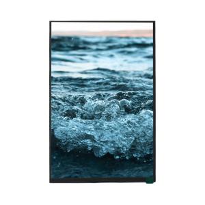 10.1 Inch LCD TFT HD Screen 800x1280 High Resolution LVDS Interface Display