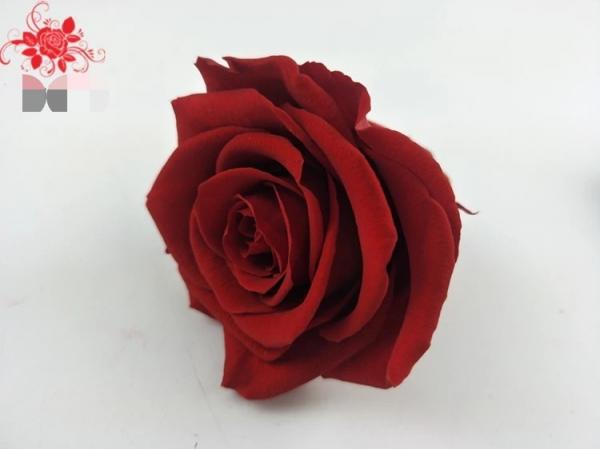 Japanese preserved red rose flowers for wedding flower stands Natural Fresh flower rose