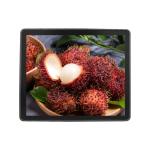 Flat Bezel 19 Inch Open Frame Touch Monitor , Touch Screen LCD Display 1280×1024