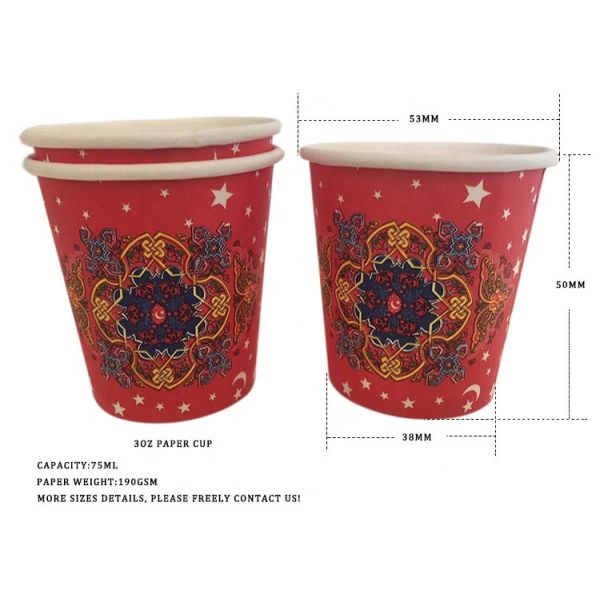 Custom Printed Disposable Single Wall Paper Cups for Ice Beverages