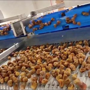 China Advanced Computer Control, High-capacity online Dates Sorting machine, Deep-learning+AI 6-Lane, High Precision &amp; Defect Detection, cCustomizable wholesale