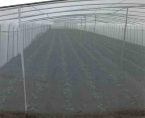 China 30 Mesh Screen Mesh Net Silver Grey 200 Meter Odorless For Blocking Light wholesale