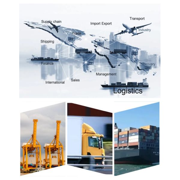 Auto Parts Brass Synchronizer Ring OEM 1297304484/1297 304 484 for Various Applications