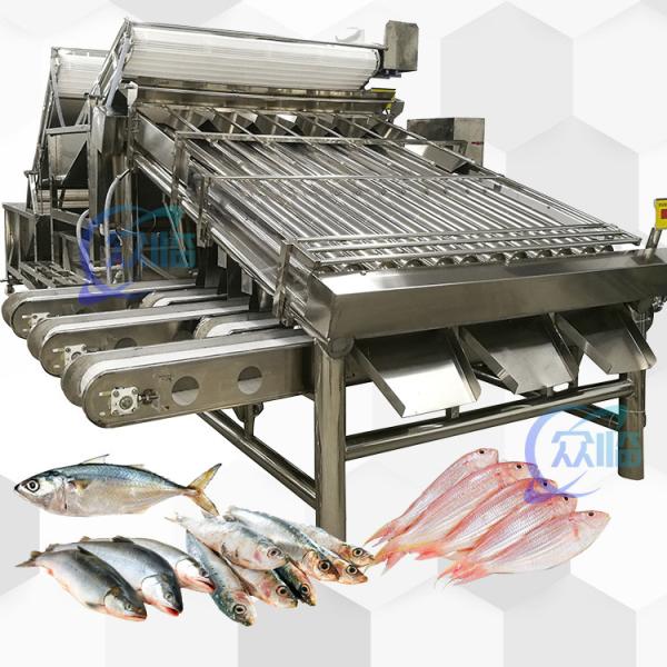 Big Output Whole Fish Grader With 18 Rollers Whole Fish Sorting Machine And Fish