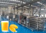 High Efficiency Mango Juice Processing Machine With Safety Protection Processing